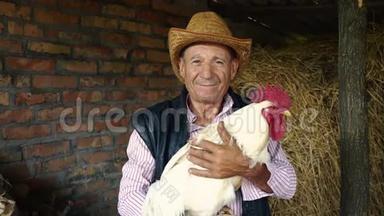 一个戴着草帽的老农夫正抱着一只活生生的白公鸡。 干草上一只白公鸡的画像
